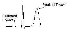 wpe2.jpg (3618 bytes)