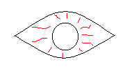 wpeD.jpg (3181 bytes)