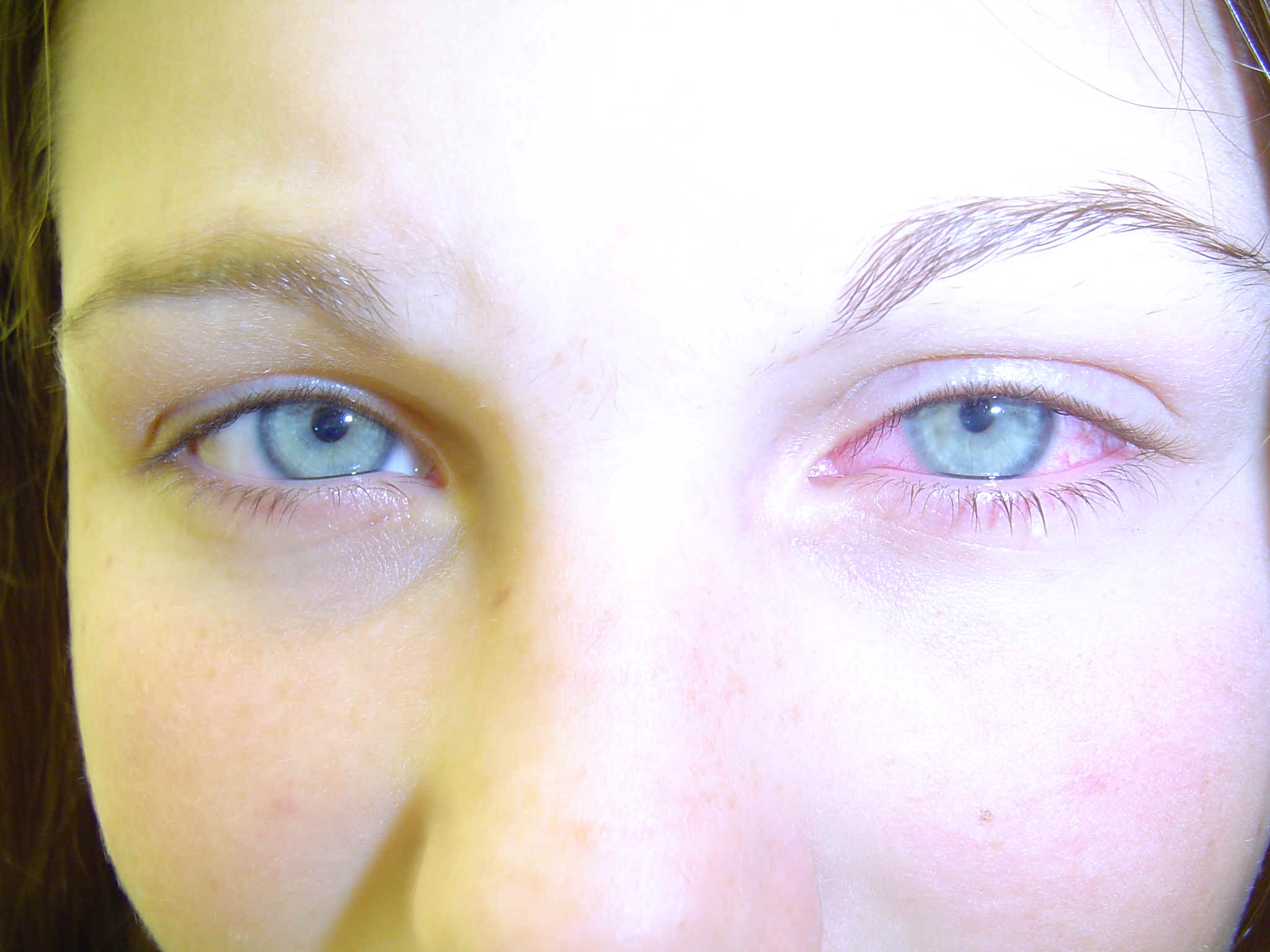 photos 001.jpg (774622 bytes)
